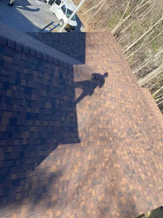 Roof Inspection on an Architectural Shingle Roof